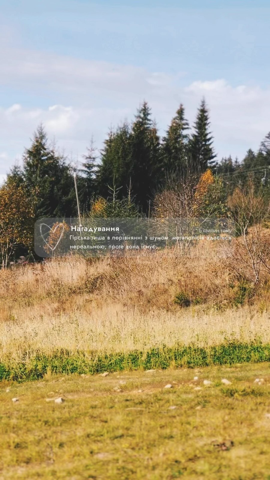 Золота осінь